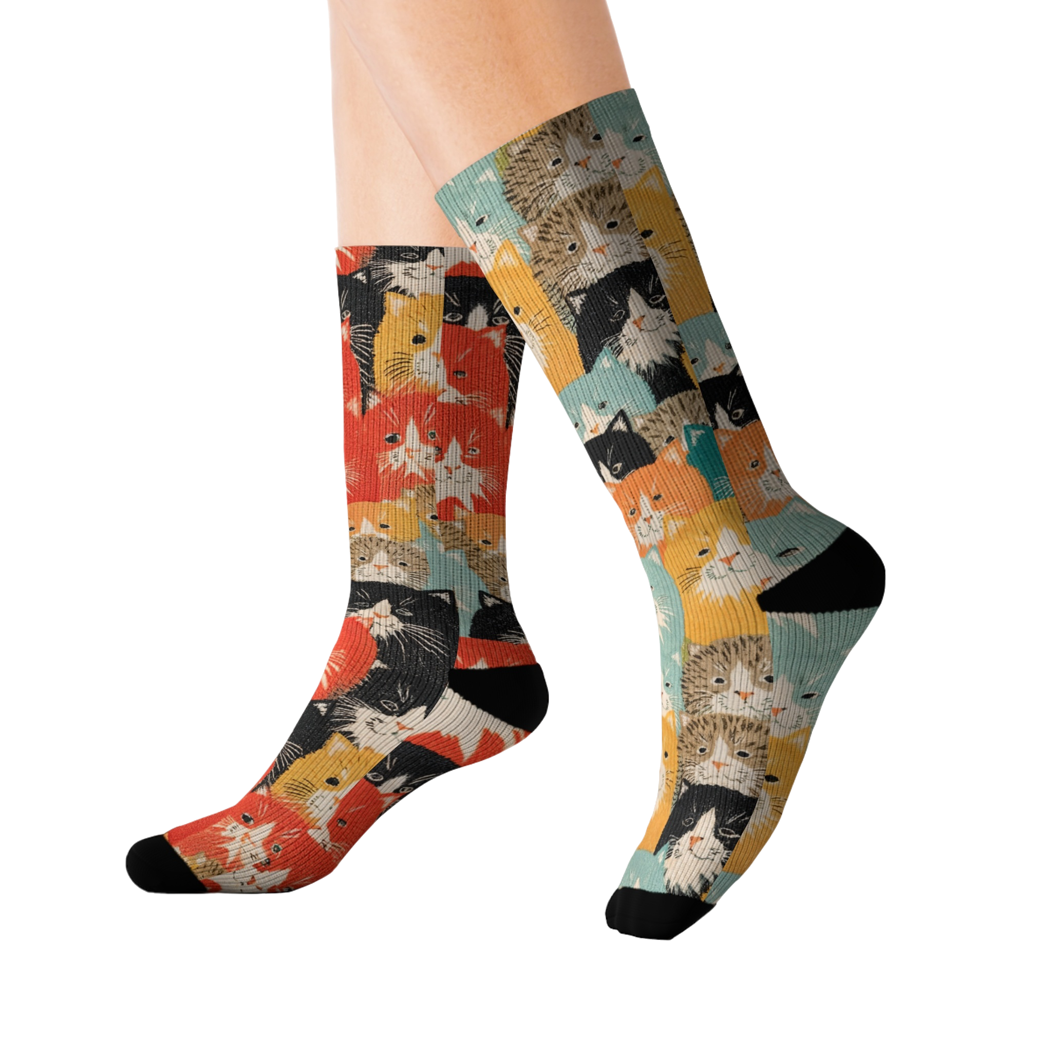 多くの猫 Socks